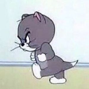 Meet your Posher, Lyric